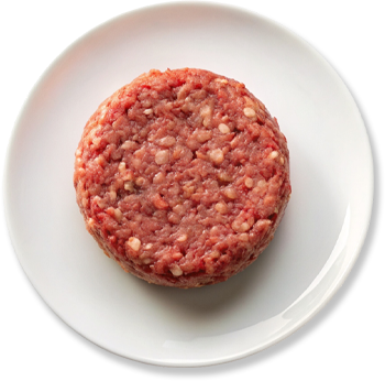 FROZEN BURGER BEEF