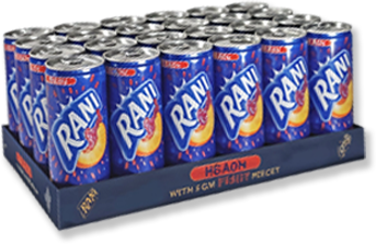 SOFT DRINK RANI FRUITS X 24 CANS X 240 ML