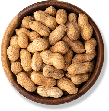 PEANUTS WITH SHELL