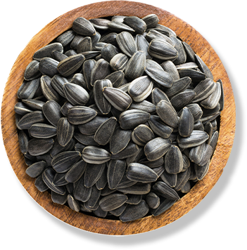 SUNFLOWER SEEDS