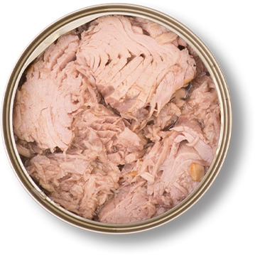 TUNA FISH