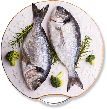 TILAPIA FISH (4 PCS)