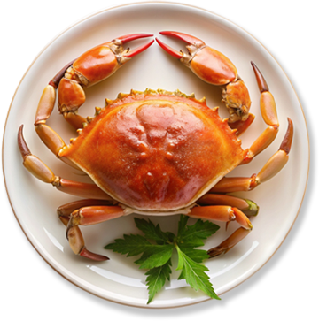 CRAB (4 PCS)