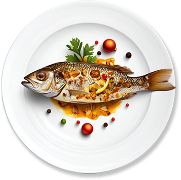 GILT HEAD FISH