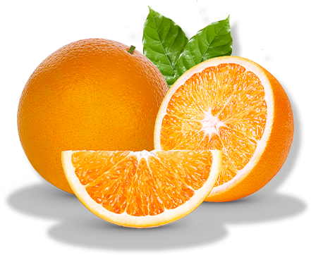 ORANGE FRESH