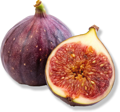 FIG FRESH