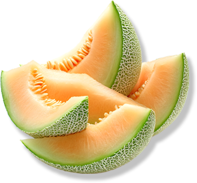 SWEET MELON FRESH