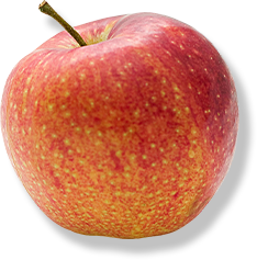 APPLE FRESH